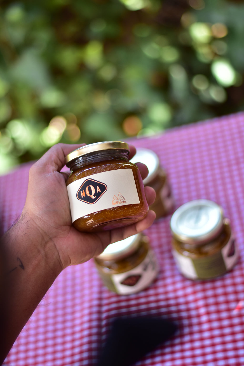Hummus caseiro – Vale do Uco