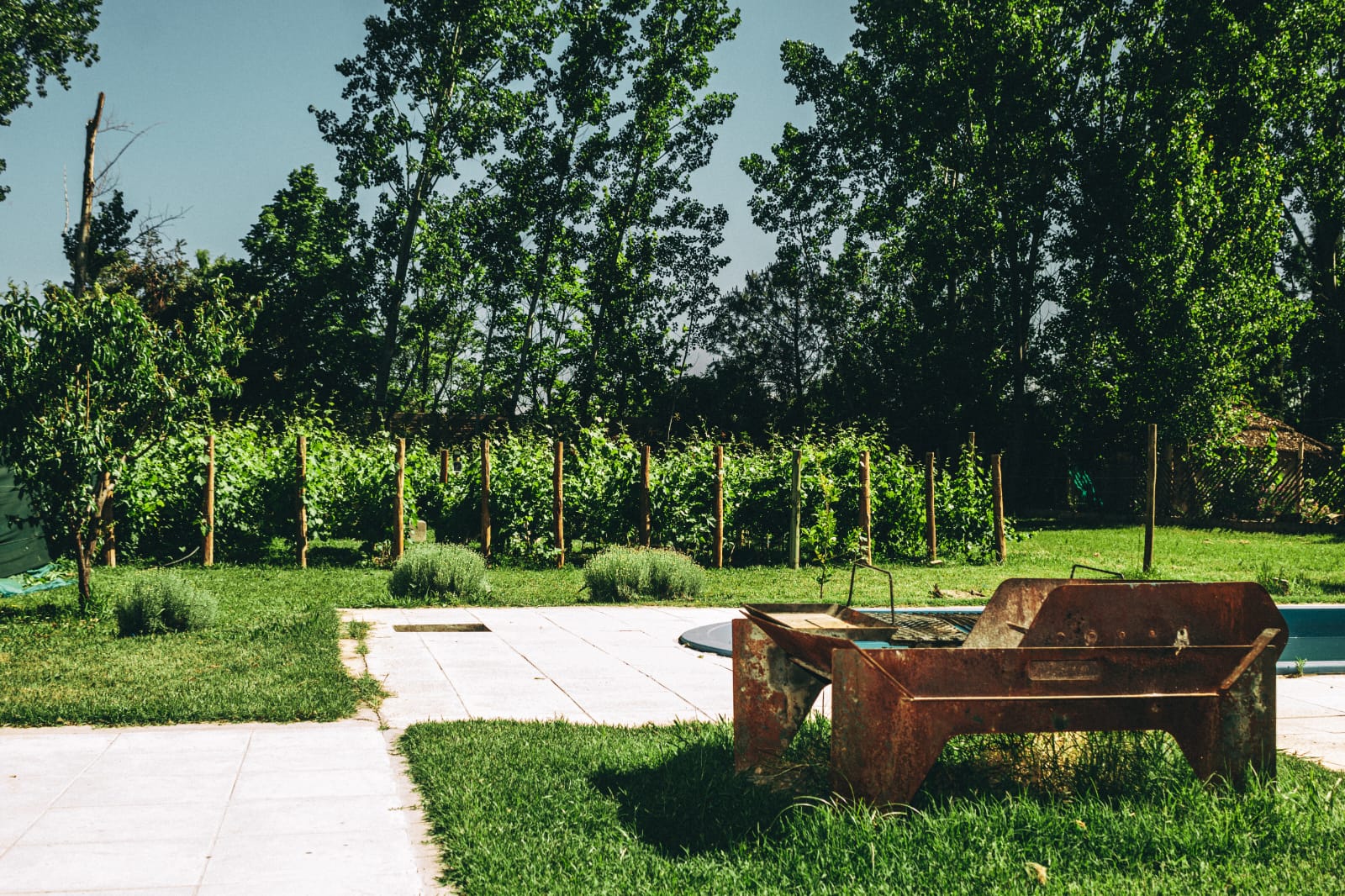 Selección del Mes · LE COMBAT Blanco (Caja x6) ENVIO GRATIS