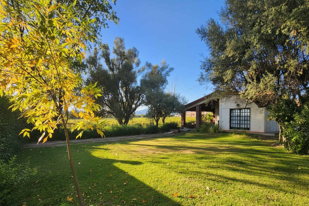 Casona Saint Rose - Lujosa