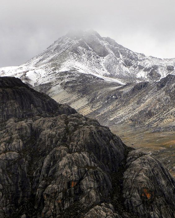 Pack Caja Origen - 3 Vinos + Aceite