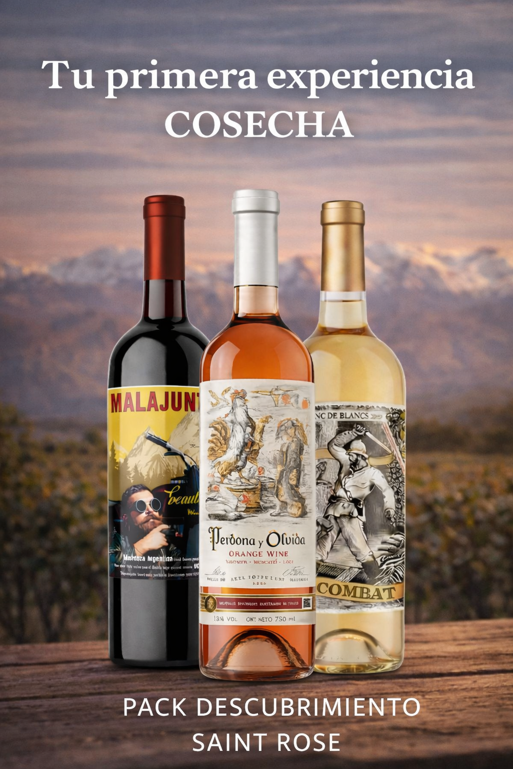 Pack Discovery · 3 Vinos del Valle de Uco